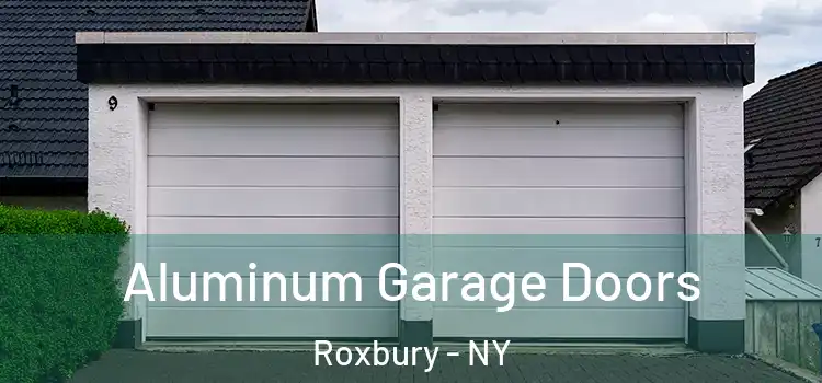  Aluminum Garage Doors Roxbury - NY