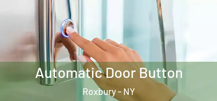 Automatic Door Button Roxbury - NY
