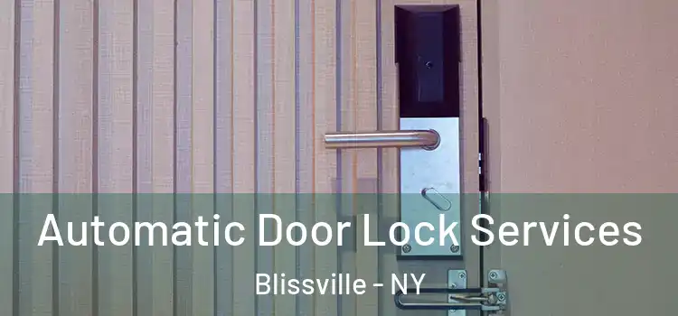 Automatic Door Lock Services Blissville - NY