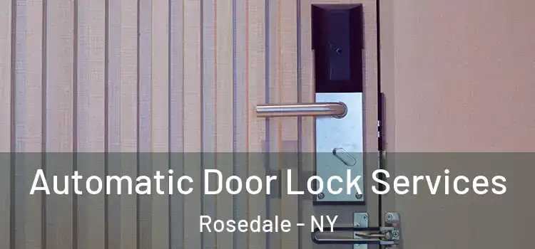 Automatic Door Lock Services Rosedale - NY
