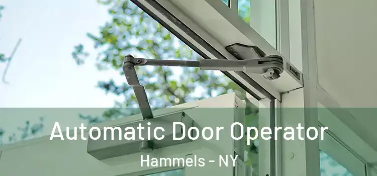 Automatic Door Operator Hammels - NY