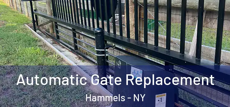 Automatic Gate Replacement Hammels - NY