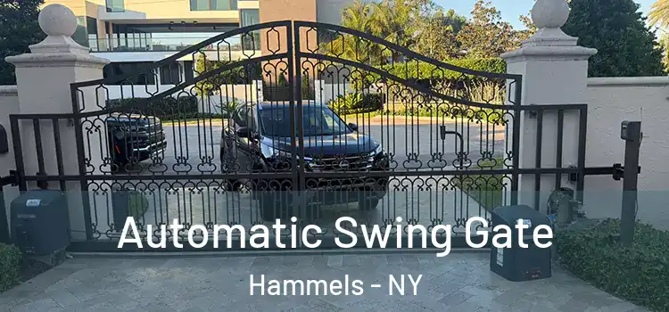 Automatic Swing Gate Hammels - NY