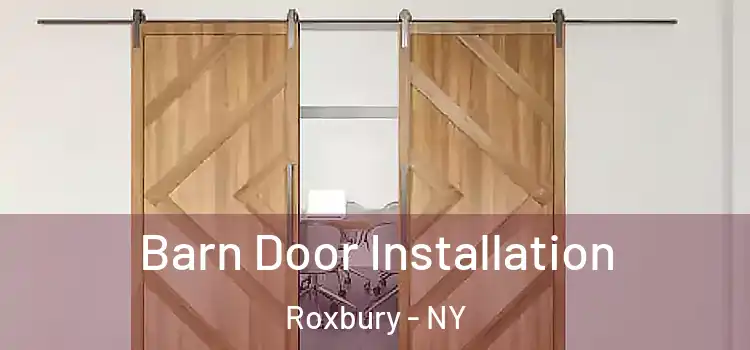  Barn Door Installation Roxbury - NY