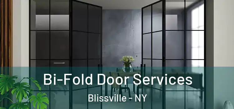 Bi-Fold Door Services Blissville - NY