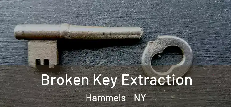 Broken Key Extraction Hammels - NY