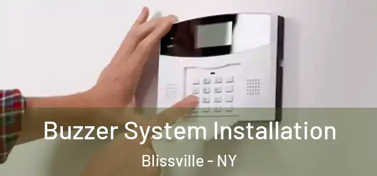 Buzzer System Installation Blissville - NY