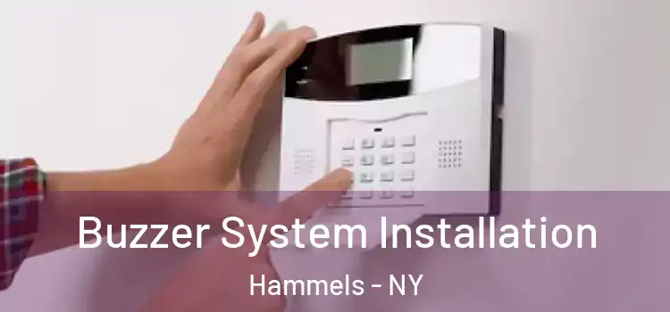 Buzzer System Installation Hammels - NY