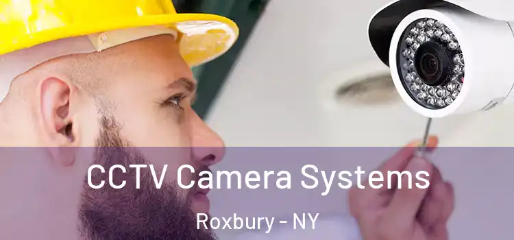 CCTV Camera Systems Roxbury - NY