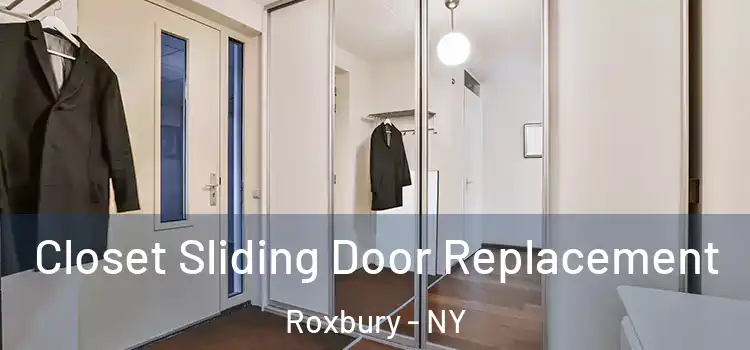 Closet Sliding Door Replacement Roxbury - NY