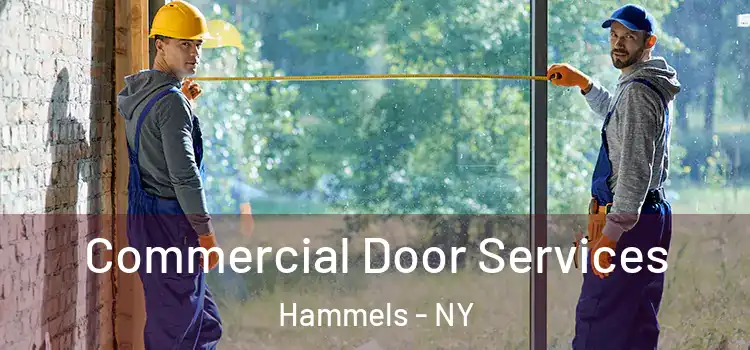 Commercial Door Services Hammels - NY