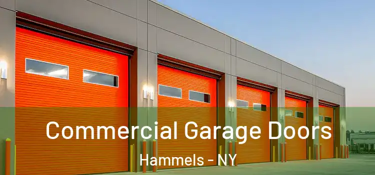  Commercial Garage Doors Hammels - NY