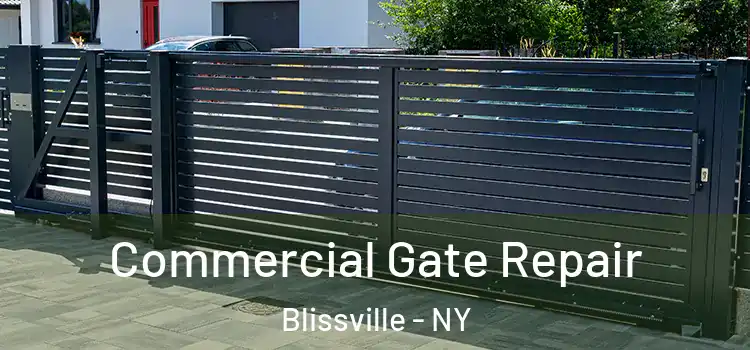 Commercial Gate Repair Blissville - NY