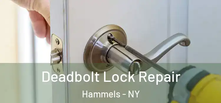 Deadbolt Lock Repair Hammels - NY