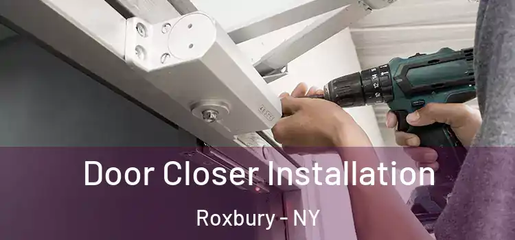 Door Closer Installation Roxbury - NY