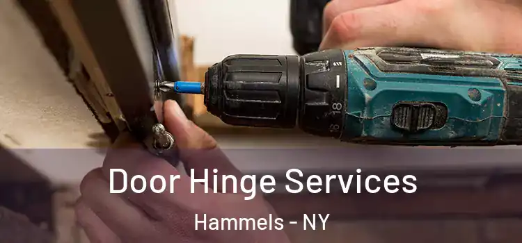  Door Hinge Services Hammels - NY