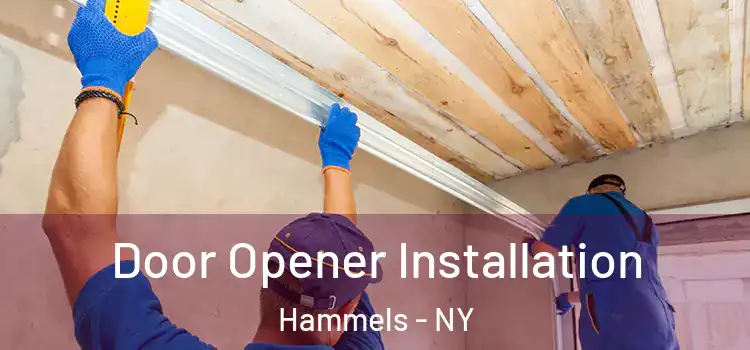  Door Opener Installation Hammels - NY
