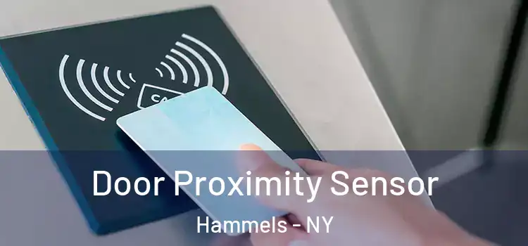Door Proximity Sensor Hammels - NY