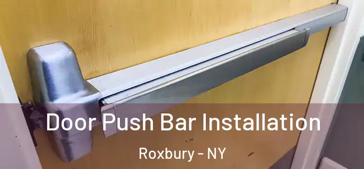 Door Push Bar Installation Roxbury - NY