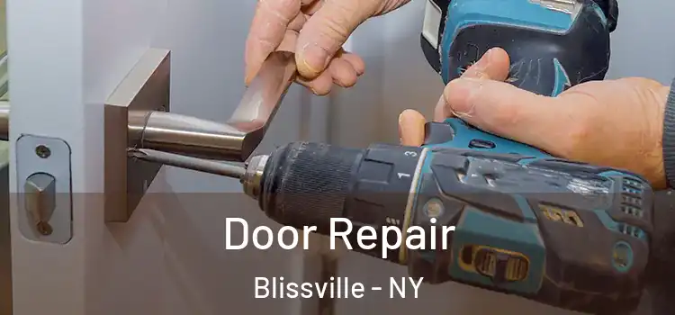 Door Repair Blissville - NY