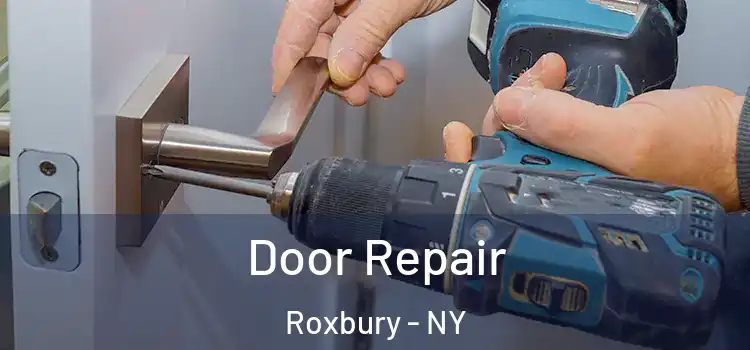 Door Repair Roxbury - NY