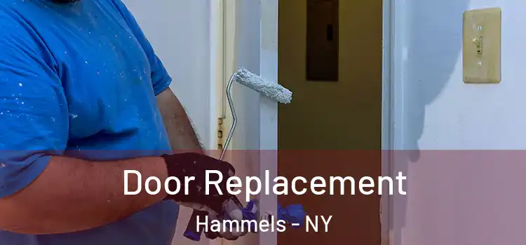 Door Replacement Hammels - NY