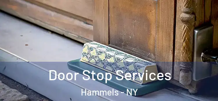 Door Stop Services Hammels - NY