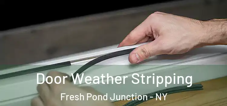 Door Weather Stripping Fresh Pond Junction - NY