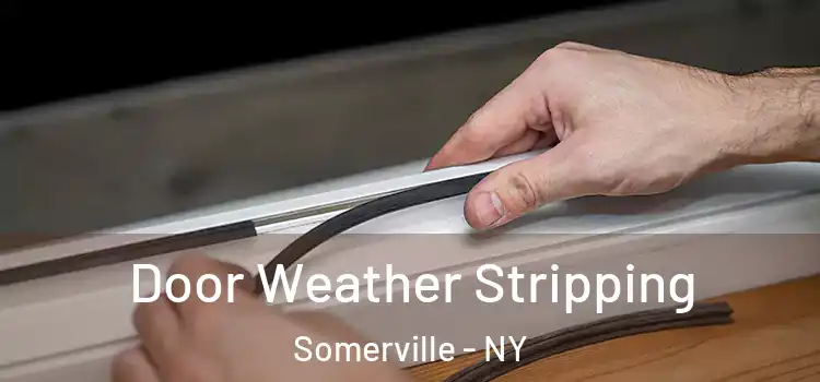  Door Weather Stripping Somerville - NY