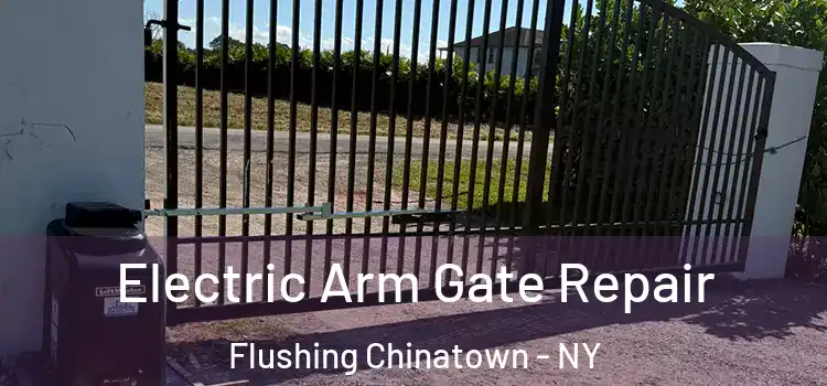 Electric Arm Gate Repair Flushing Chinatown - NY