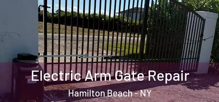 Electric Arm Gate Repair Hamilton Beach - NY
