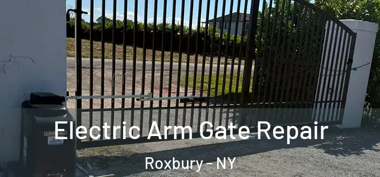 Electric Arm Gate Repair Roxbury - NY