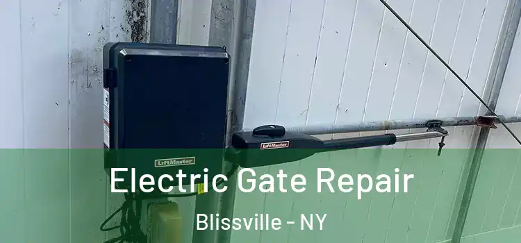 Electric Gate Repair Blissville - NY
