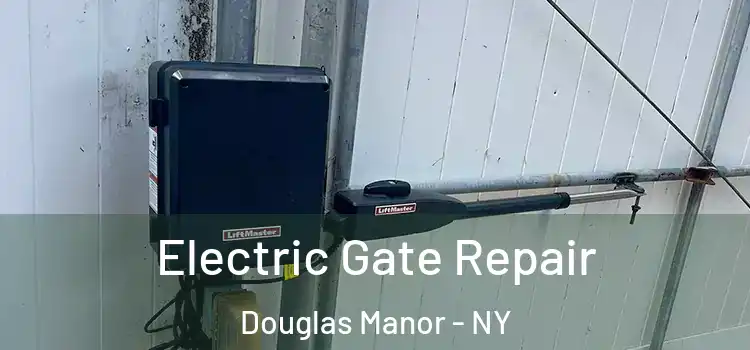 Electric Gate Repair Douglas Manor - NY