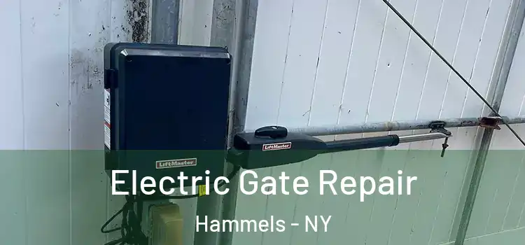  Electric Gate Repair Hammels - NY