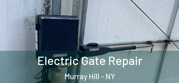  Electric Gate Repair Murray Hill - NY