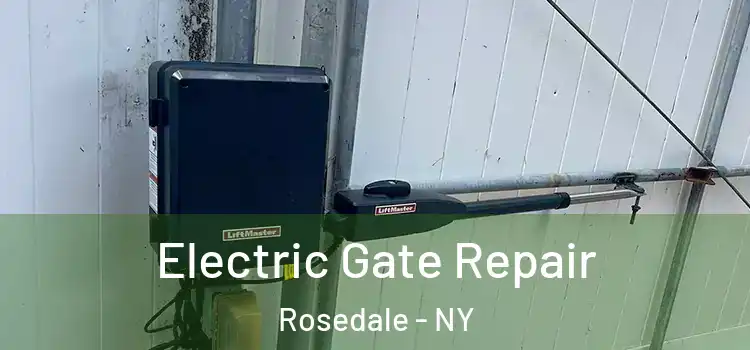 Electric Gate Repair Rosedale - NY