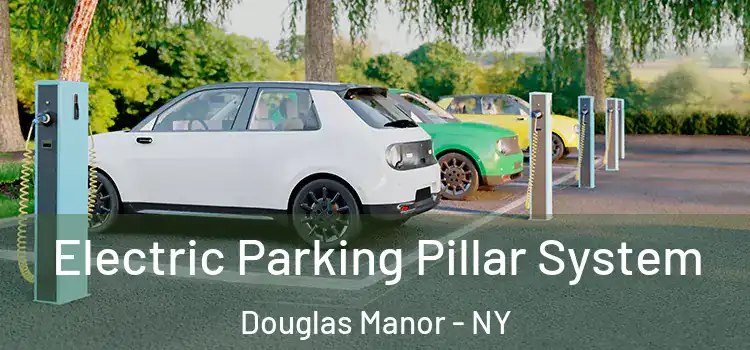  Electric Parking Pillar System Douglas Manor - NY