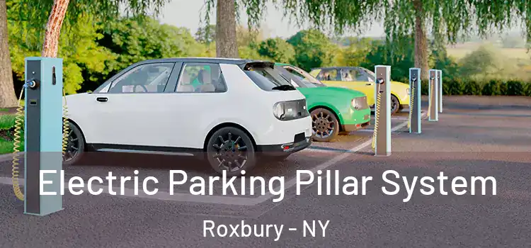  Electric Parking Pillar System Roxbury - NY