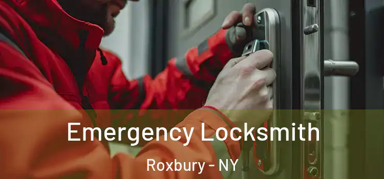 Emergency Locksmith Roxbury - NY