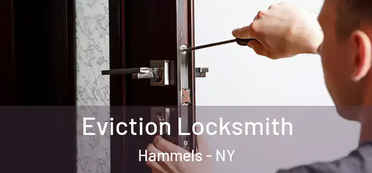Eviction Locksmith Hammels - NY