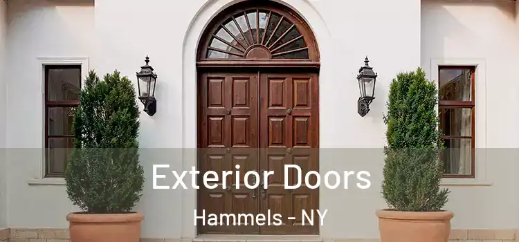 Exterior Doors Hammels - NY