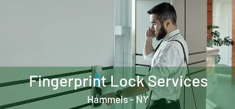  Fingerprint Lock Services Hammels - NY