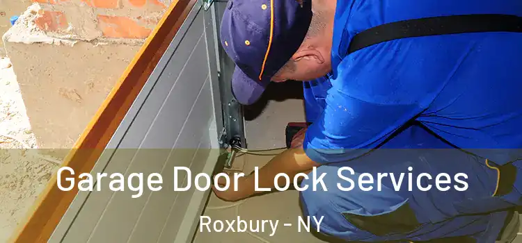 Garage Door Lock Services Roxbury - NY
