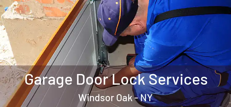 Garage Door Lock Services Windsor Oak - NY