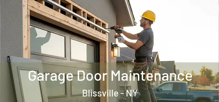 Garage Door Maintenance Blissville - NY