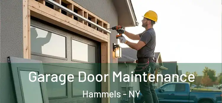  Garage Door Maintenance Hammels - NY