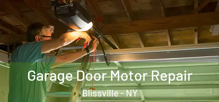  Garage Door Motor Repair Blissville - NY