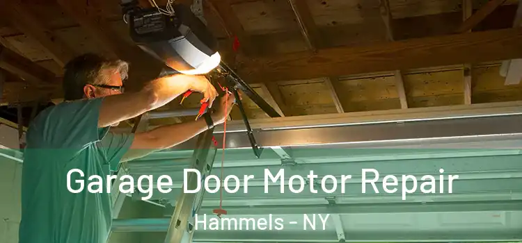  Garage Door Motor Repair Hammels - NY