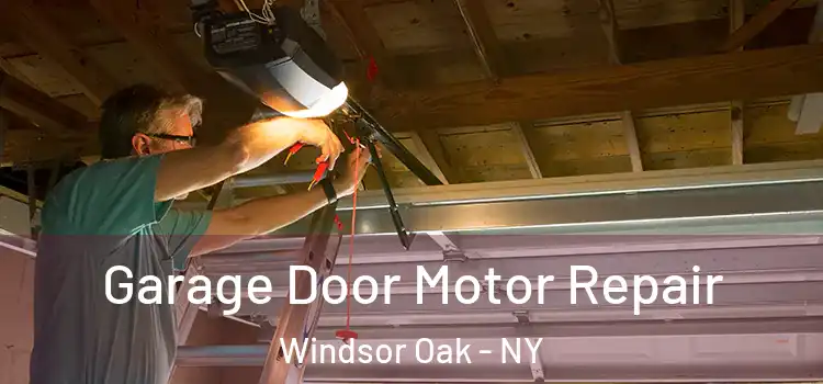  Garage Door Motor Repair Windsor Oak - NY